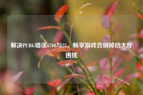 解决PUBG错误6700与25,畅享游戏告别掉回大厅困扰
