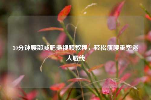 30分钟腰部减肥操视频教程,轻松瘦腰重塑迷人腰线
