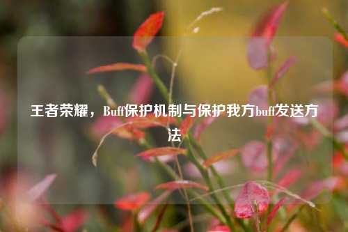 王者荣耀,Buff保护机制与保护我方buff发送 ***