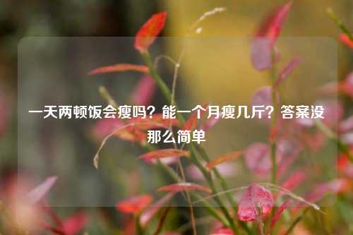 一天两顿饭会瘦吗？能一个月瘦几斤？答案没那么简单