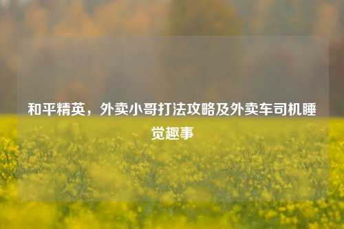 和平精英,外卖小哥打法攻略及外卖车司机睡觉趣事