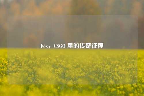 Fox,CSGO 里的传奇征程
