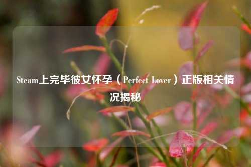 Steam上完毕彼女怀孕(Perfect Lover)正版相关情况揭秘