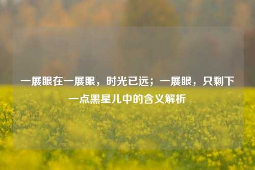 一展眼在一展眼,时光已远;一展眼,只剩下一点黑星儿中的含义解析