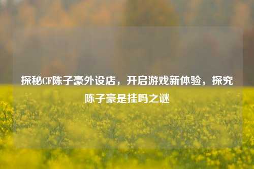 探秘CF陈子豪外设店,开启游戏新体验,探究陈子豪是挂吗之谜