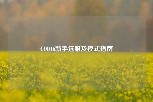 COD16新手选服及模式指南