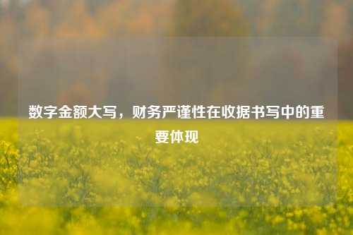 数字金额大写,财务严谨性在收据书写中的重要体现