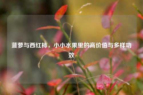 菠萝与西红柿,小小水果里的高价值与多样功效