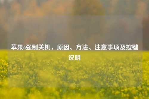 苹果6强制关机，原因、 *** 、注意事项及按键说明
