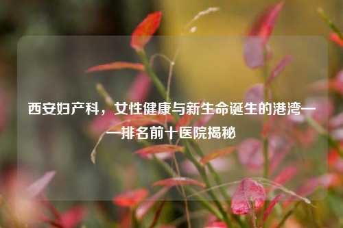 西安妇产科,女性健康与新生命诞生的港湾——排名前十医院揭秘