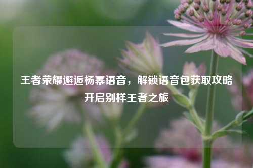 王者荣耀邂逅杨幂语音,解锁语音包获取攻略开启别样王者之旅