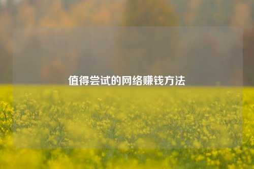 值得尝试的 *** 赚钱 ***