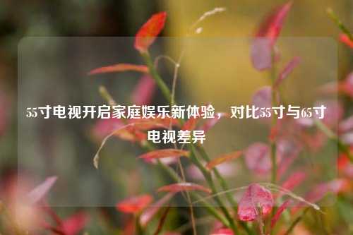 55寸电视开启家庭娱乐新体验,对比55寸与65寸电视差异