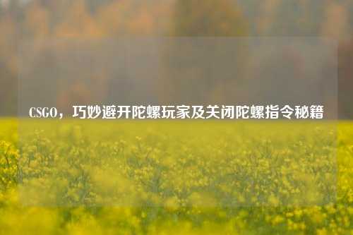 CSGO,巧妙避开陀螺玩家及关闭陀螺指令秘籍