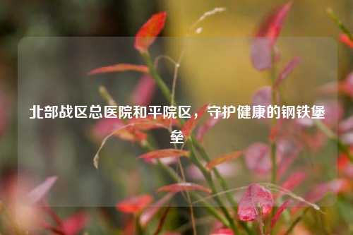 北部战区总医院和平院区，守护健康的钢铁堡垒