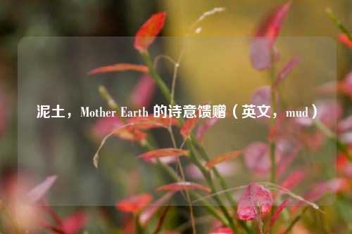 泥土,Mother Earth 的诗意馈赠(英文,mud)