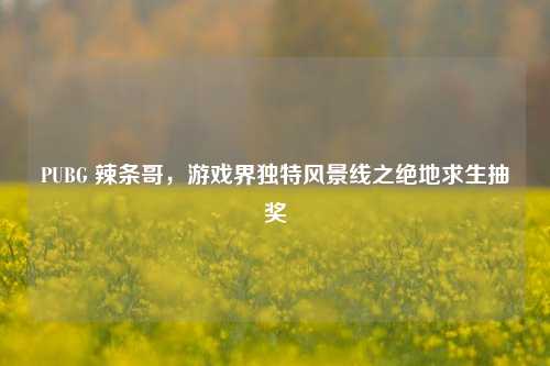 PUBG 辣条哥，游戏界独特风景线之绝地求生抽奖
