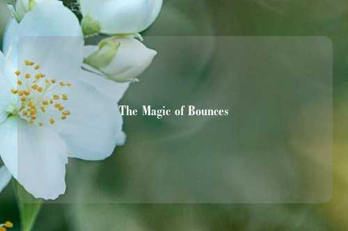 The Magic of Bounces
