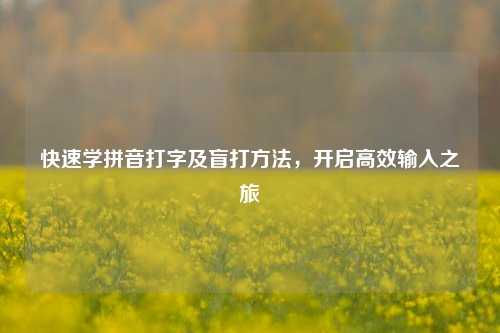快速学拼音打字及盲打 *** ，开启高效输入之旅