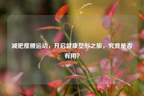减肥瘦腰运动,开启健康塑形之旅,究竟是否有用?