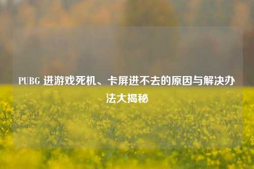 PUBG 进游戏死机、卡屏进不去的原因与解决办法大揭秘