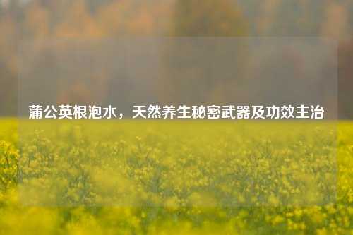 蒲公英根泡水，天然养生秘密武器及功效主治