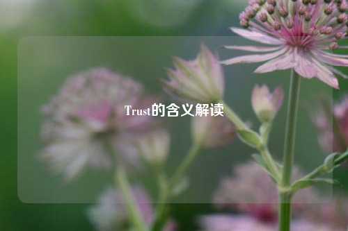 Trust的含义解读