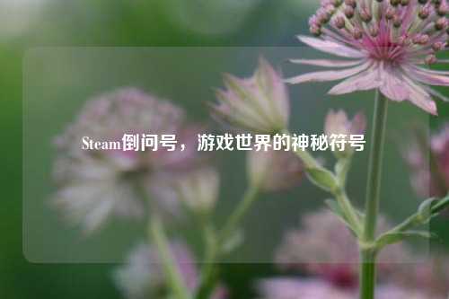 Steam倒问号，游戏世界的神秘符号