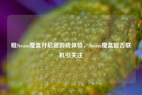 租Steam魔盒开启新游戏体验，Steam魔盒能否联机引关注