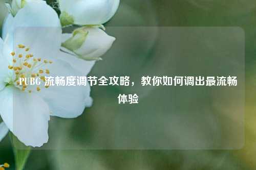PUBG 流畅度调节全攻略,教你如何调出最流畅体验