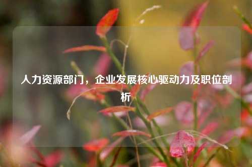 人力资源部门,企业发展核心驱动力及职位剖析