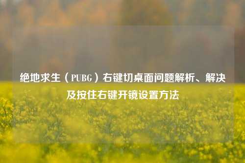 绝地求生(PUBG)右键切桌面问题解析、解决及按住右键开镜设置 ***