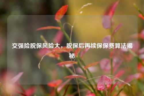 交强险脱保风险大,脱保后再续保保费算法揭秘