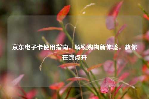 京东电子卡使用指南，解锁购物新体验，教你在哪点开
