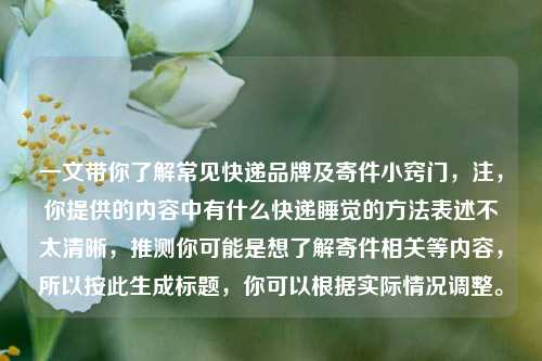 一文带你了解常见快递品牌及寄件小窍门,注,你提供的内容中有什么快递睡觉的 *** 表述不太清晰,推测你可能是想了解寄件相关等内容,所以按此生成标题,你可以根据实际情况调整。