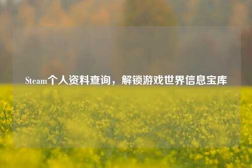 Steam个人资料查询,解锁游戏世界信息宝库