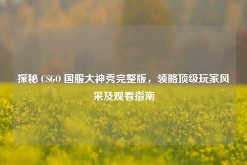 探秘 CSGO 国服大神秀完整版，领略顶级玩家风采及观看指南