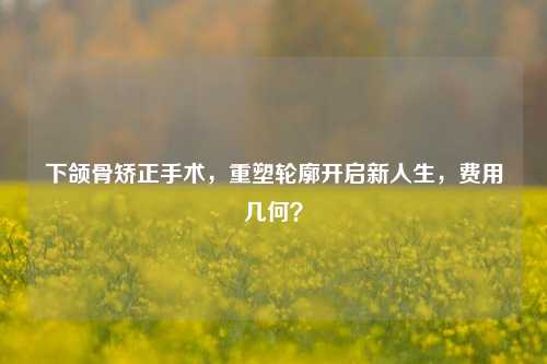 下颌骨矫正手术，重塑轮廓开启新人生，费用几何？
