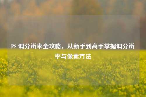 PS 调分辨率全攻略,从新手到高手掌握调分辨率与像素 ***