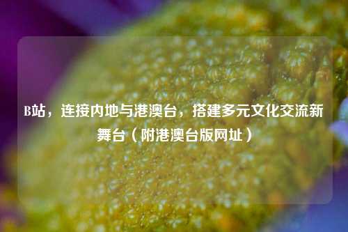 B站,连接内地与港澳台,搭建多元文化交流新舞台(附港澳台版网址)