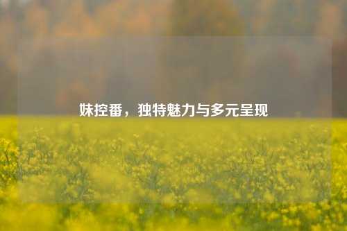 妹控番，独特魅力与多元呈现