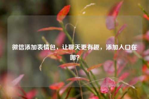 微信添加表情包,让聊天更有趣,添加入口在哪?