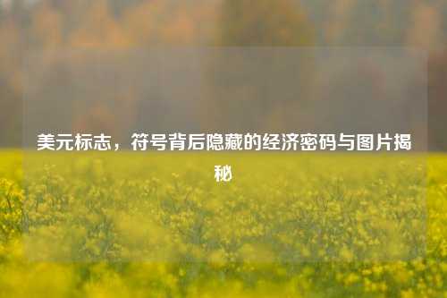 美元标志,符号背后隐藏的经济密码与图片揭秘