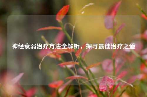 神经衰弱治疗 *** 全解析，探寻更佳治疗之道