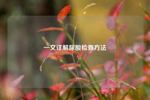一文详解尿酸检查 ***