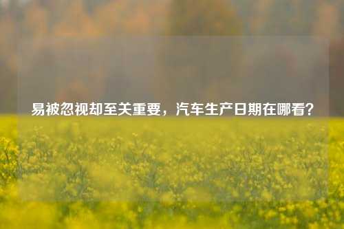 易被忽视却至关重要，汽车生产日期在哪看？