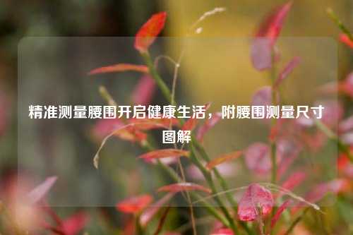 精准测量腰围开启健康生活，附腰围测量尺寸图解