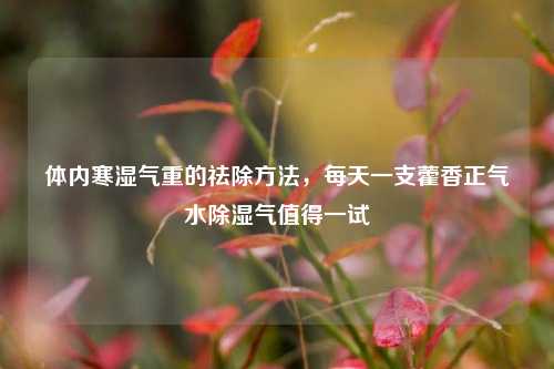 体内寒湿气重的祛除 *** ,每天一支藿香正气水除湿气值得一试