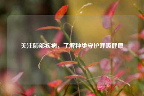 关注肺部疾病，了解种类守护呼吸健康