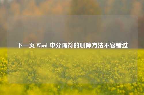 下一页 Word 中分隔符的删除 *** 不容错过